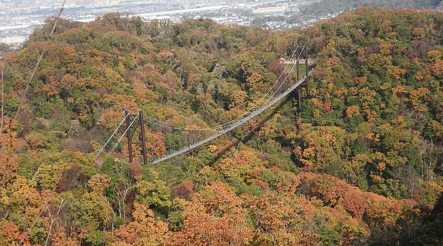 🌳 부민의 숲 호시다 공원(후민노모리 호시다엔치) 이미지 4